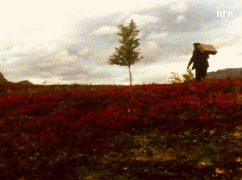 Skjermdump Rallarens testamente