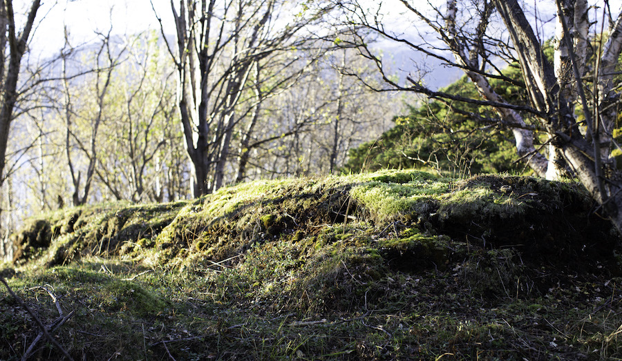 Sagn om russernes plyndringer i Lyngen