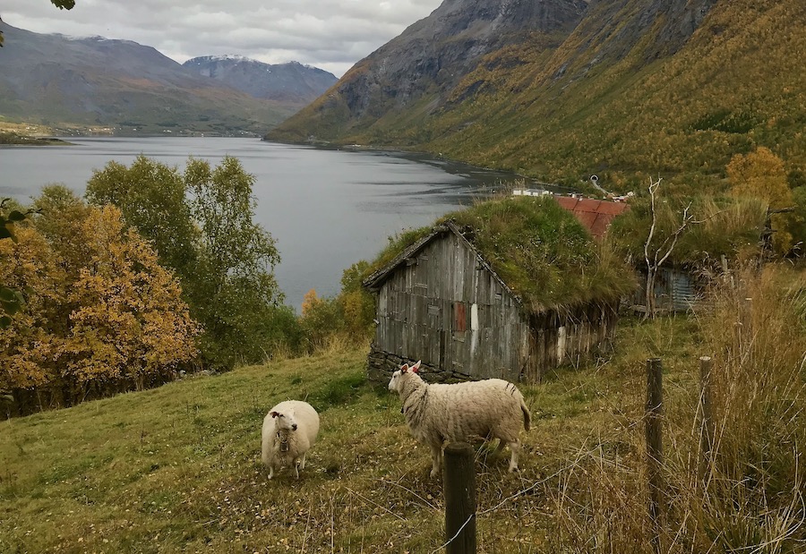 Jordbruk og husdyrhold